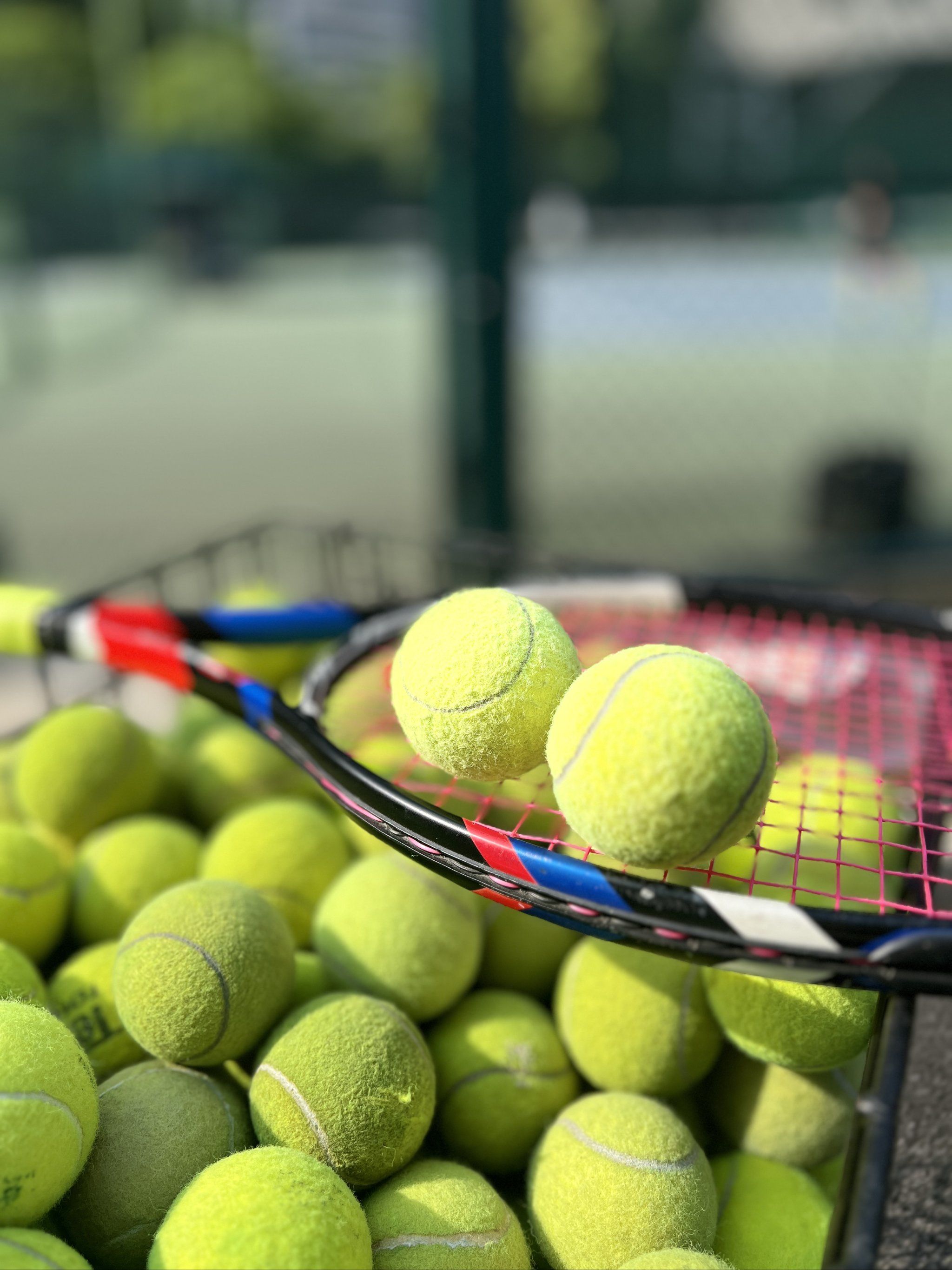 大的攻击力 大的攻击力